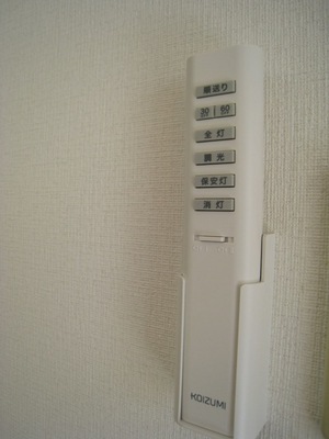 Other Equipment. Lighting equipped with remote control in all rooms