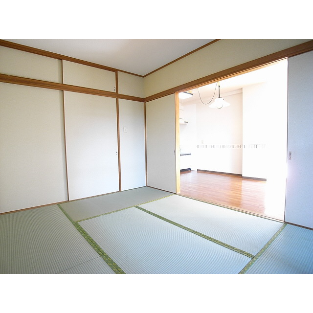 Other room space. Japanese style room