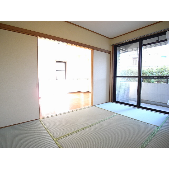 Other room space. Japanese style room
