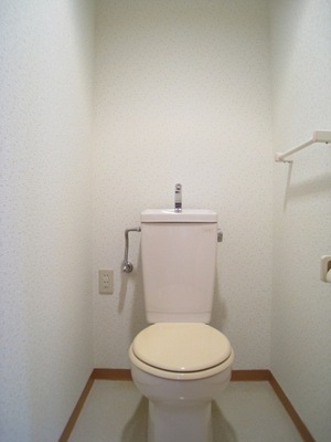 Toilet. Towel rack is nice toilet