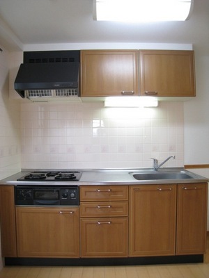 Kitchen. Cooking Easy in the kitchen with a three-necked grill