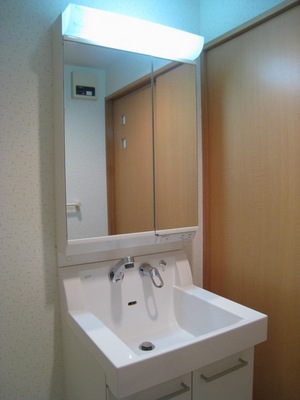 Washroom. Hotels like shampoo dresser