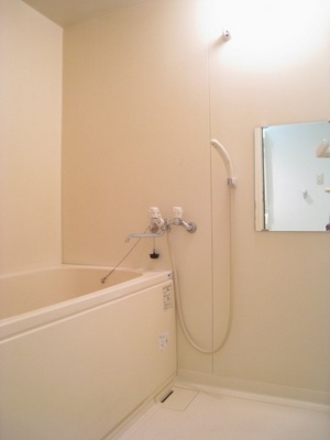 Bath. Economic add-fired function with city gas