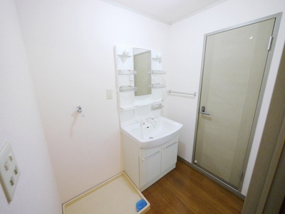 Washroom. Laundry Area and washbasin