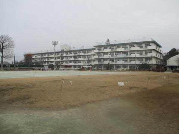 Primary school. 1200m up to elementary school