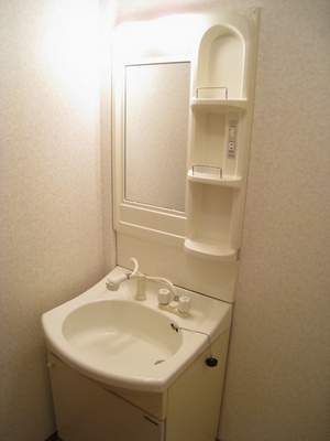 Washroom. Convenient shampoo dresser also busy morning