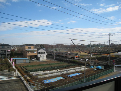 View. Enjoy the view from the hill