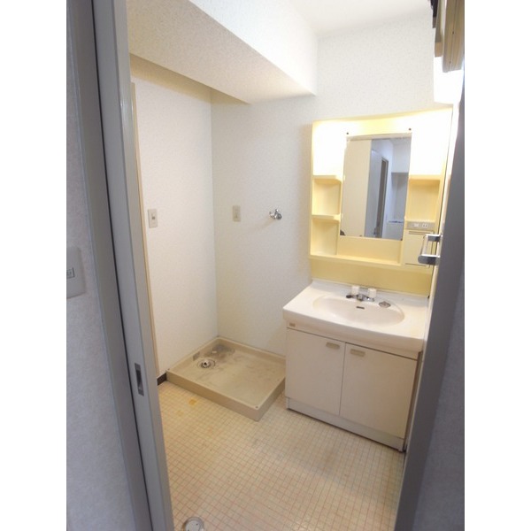 Washroom. Laundry Storage