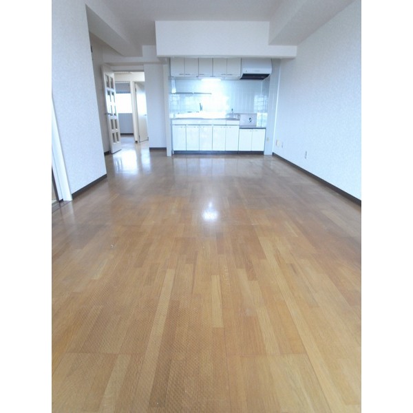 Living and room. LDK