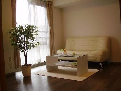 Living and room.  ☆ model room ☆