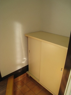 Entrance. There shoes BOX