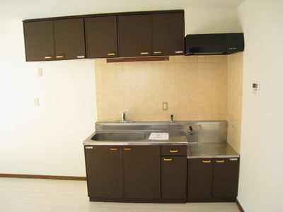 Kitchen. Cooking Easy city gas in the gas stove installation Allowed