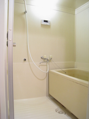 Bath. Economic add-fired function with city gas