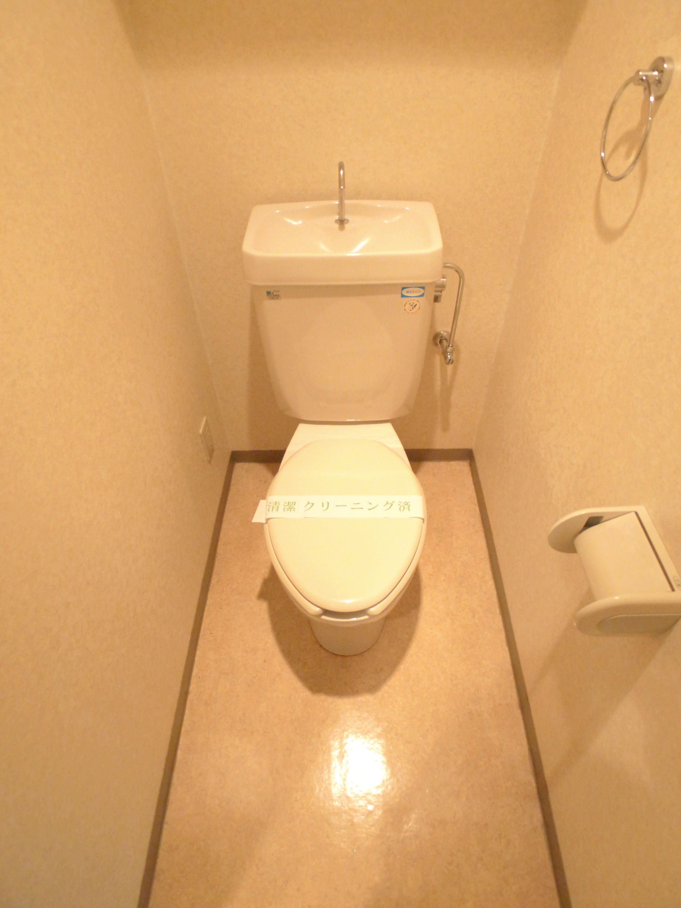 Toilet