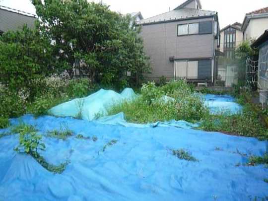 Local land photo. Article