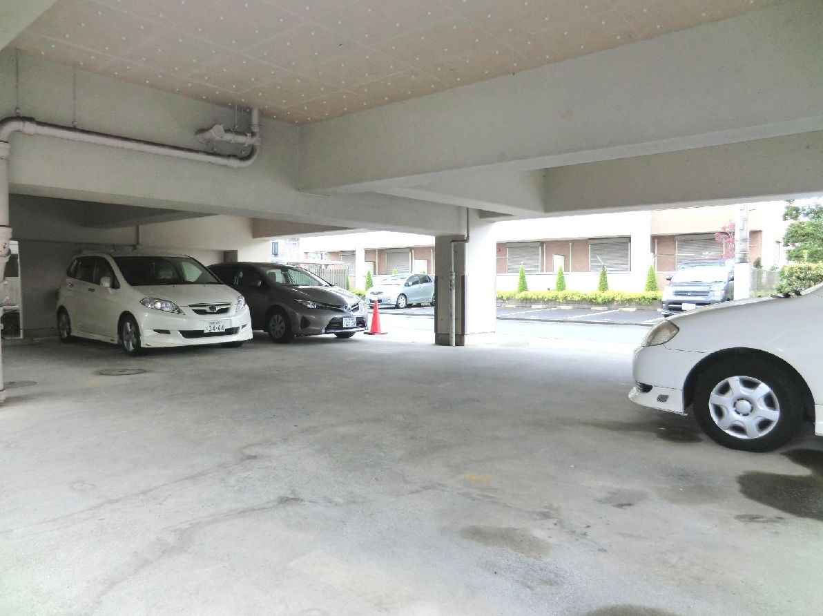 Parking lot. Parking is a single free