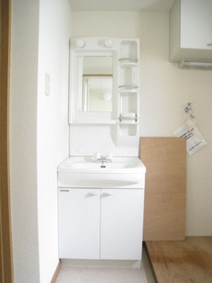 Washroom. Bright washroom windows with