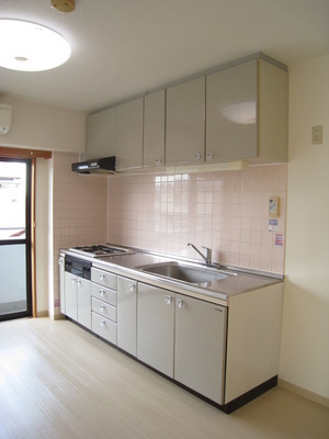 Kitchen. There is a window, Bright kitchen city gas