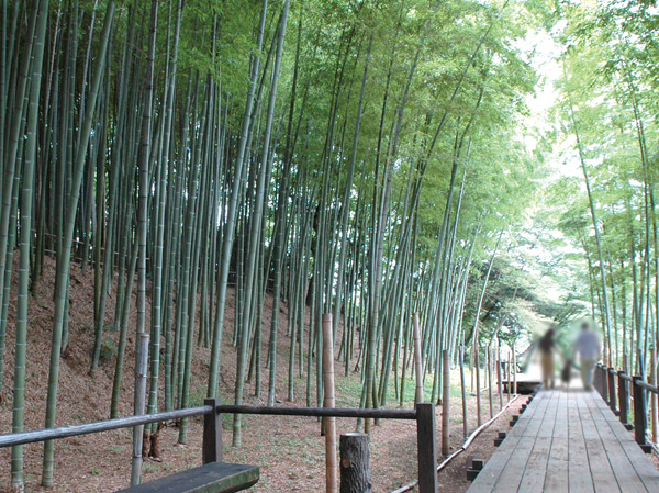 Surrounding environment. Minuma through Funabori park (about 600m ・ An 8-minute walk)
