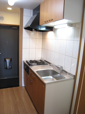 Kitchen. With two-burner grill system Kitchen