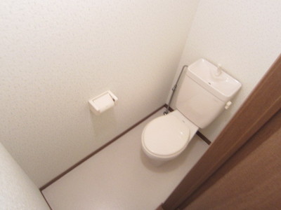 Toilet. Spread of toilet