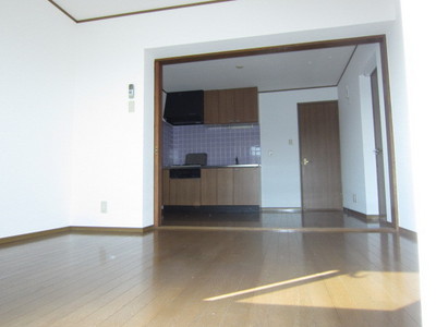 Living and room. Large dining kitchen