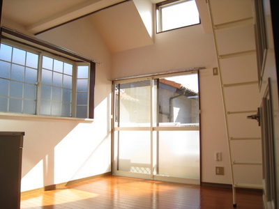 Living and room. The top floor angle room, Two-sided lighting of the bright rooms