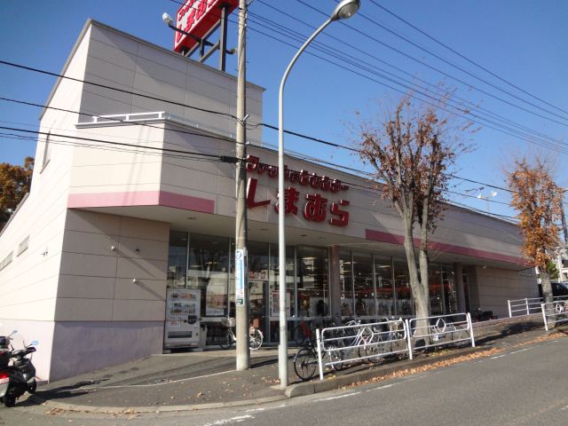 Other. 800m until Shimamura (Other)