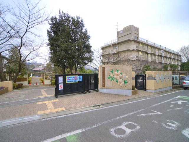 Primary school. 520m to good before elementary school