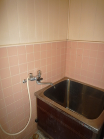 Bath. Bathroom