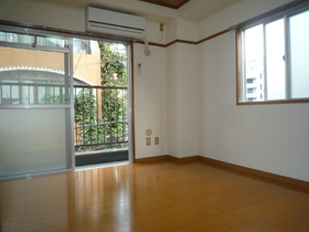 Living and room. Two-sided lighting is the room