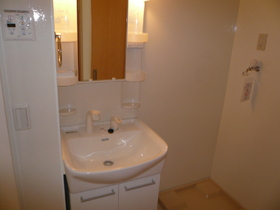 Washroom. Shower Dresser