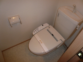 Toilet. With hot water cleaning function