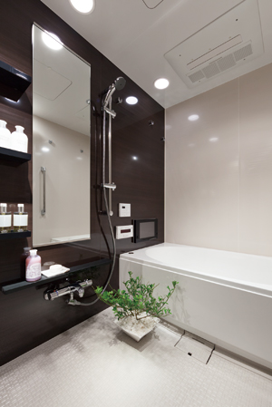 Bathing-wash room. Bathroom