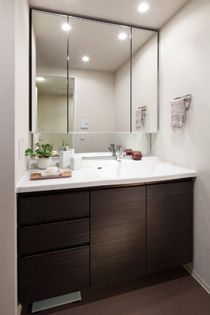 Bathing-wash room. bathroom