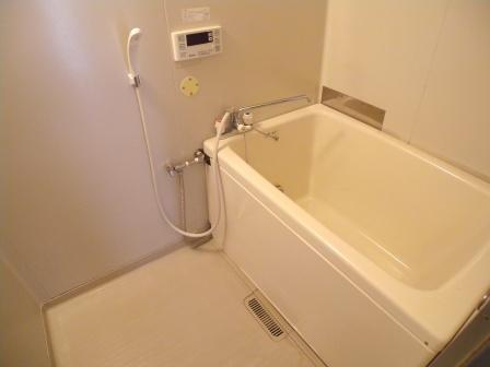 Bath. Reform plan