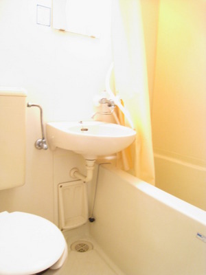 Bath. Compact unit bus is happy to cleaning
