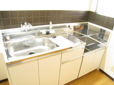 Kitchen. Shiny kitchen
