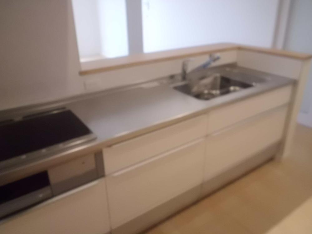 Kitchen. Water purifier built-in system kitchen