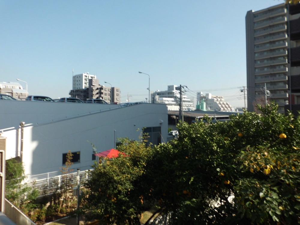 View photos from the dwelling unit. View from the balcony