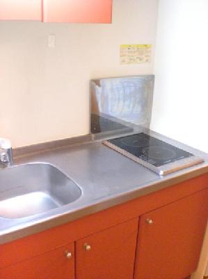 Kitchen. Spacious two-burner stove kitchen of spread