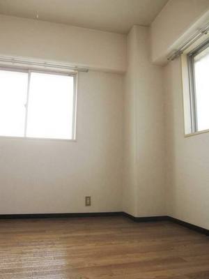 Living and room. Bright two-plane daylight