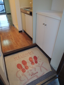 Entrance. It is the front door with a shoe rack.