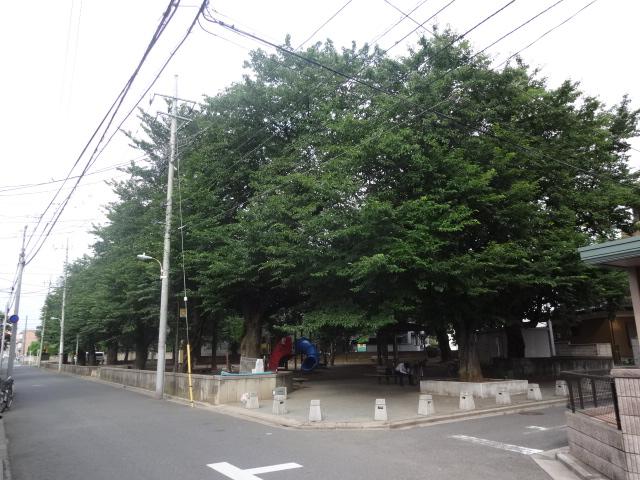 Other. Local before park cherry trees (June 2013 shooting)