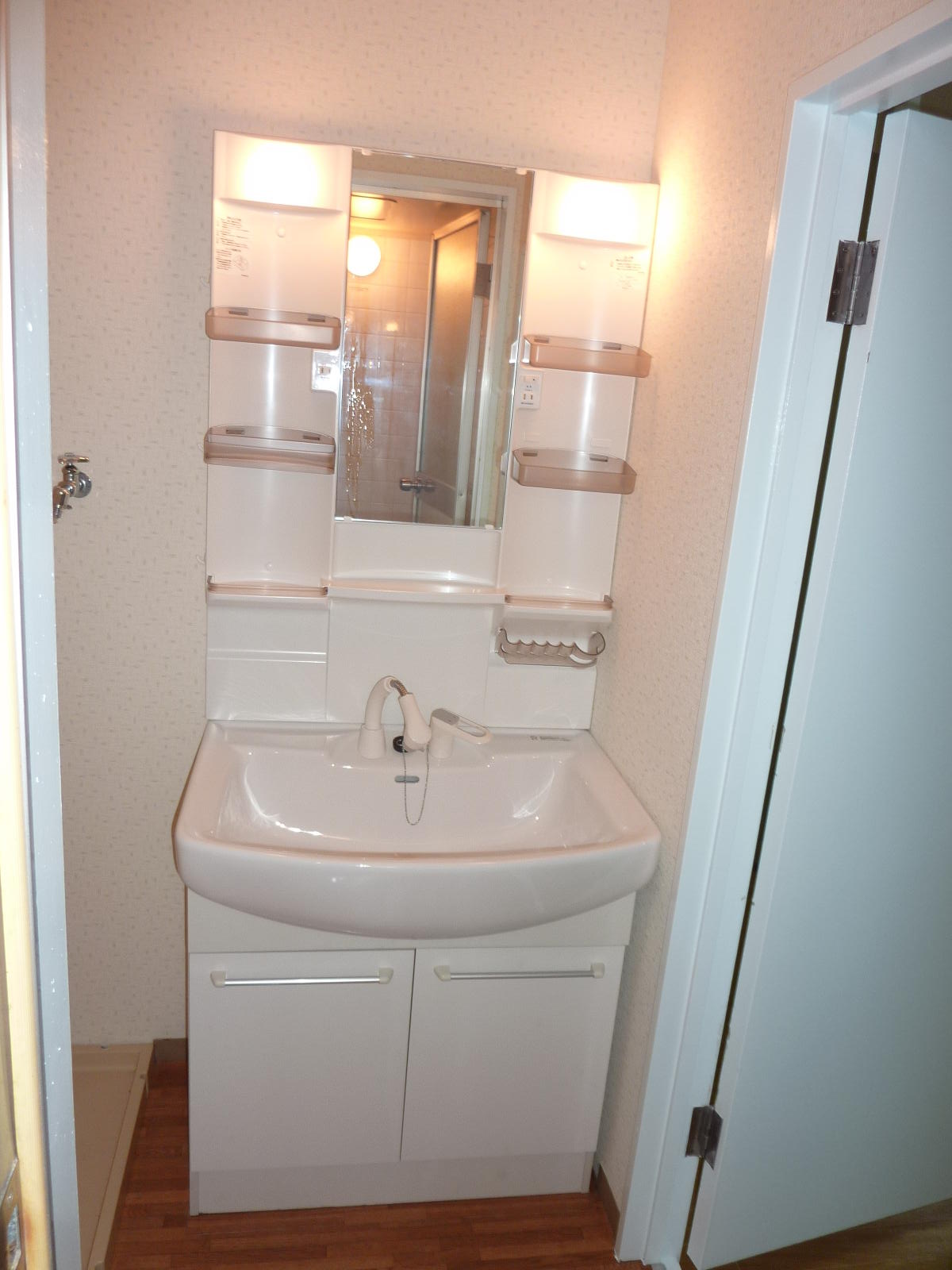 Washroom. Washbasin with shower Dresser