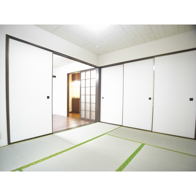 Other room space. Japanese style room