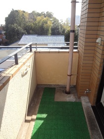 Other. Balcony
