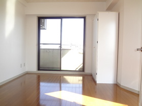 Living and room. Bright room