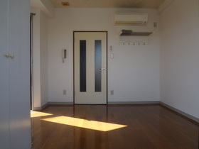 Living and room. Corner room two-sided lighting