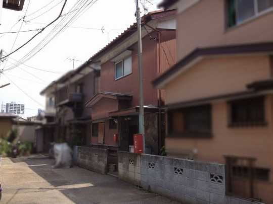 Local land photo. appearance